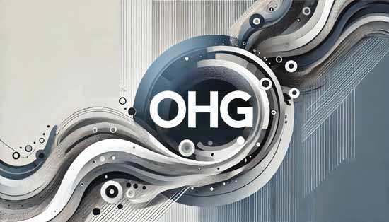 Offene Handelsgesellschaft Offene Handelsgesellschaft